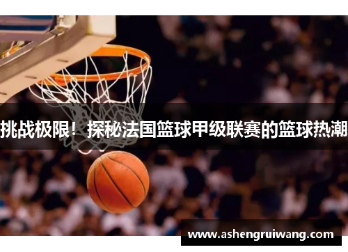 挑战极限！探秘法国篮球甲级联赛的篮球热潮