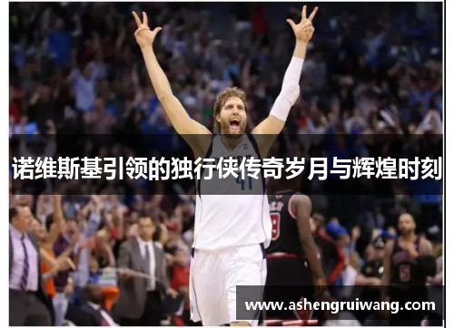 诺维斯基引领的独行侠传奇岁月与辉煌时刻