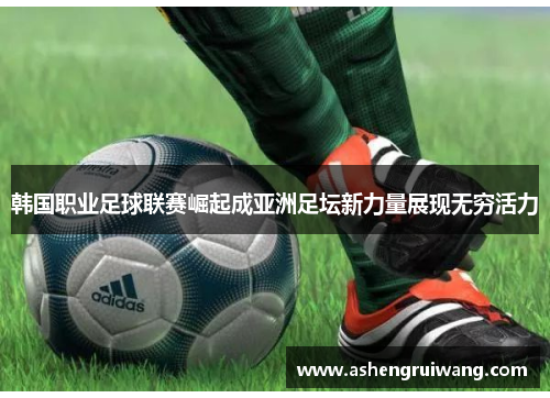 韩国职业足球联赛崛起成亚洲足坛新力量展现无穷活力