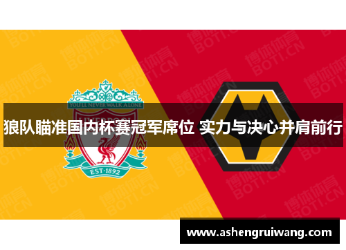 狼队瞄准国内杯赛冠军席位 实力与决心并肩前行